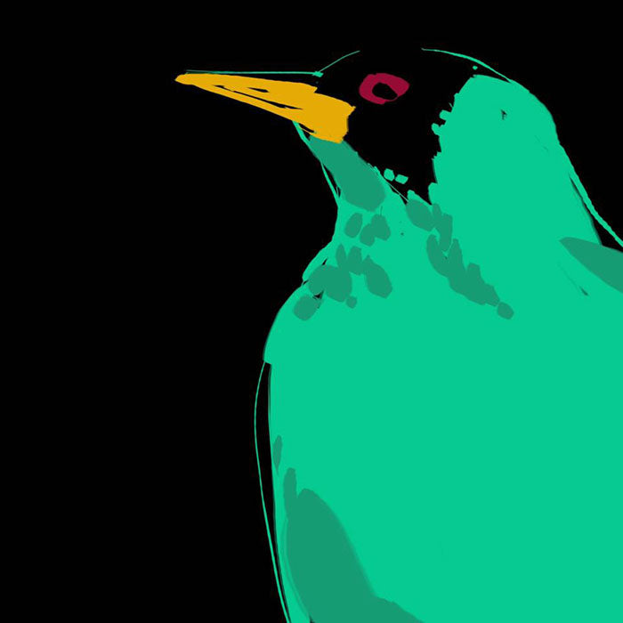 Green Honey-Creeper