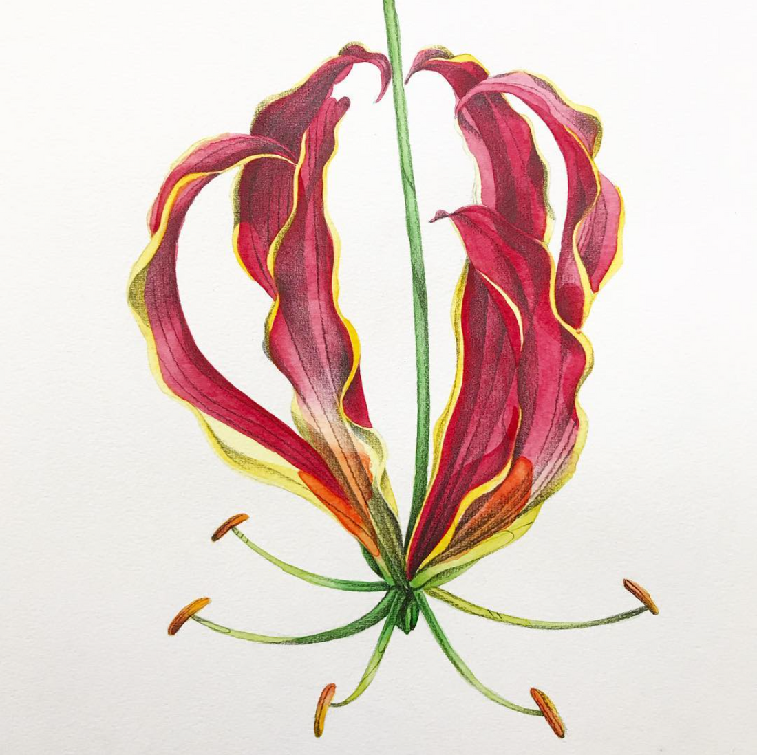Pretty Poisonous/ Fire Lilly