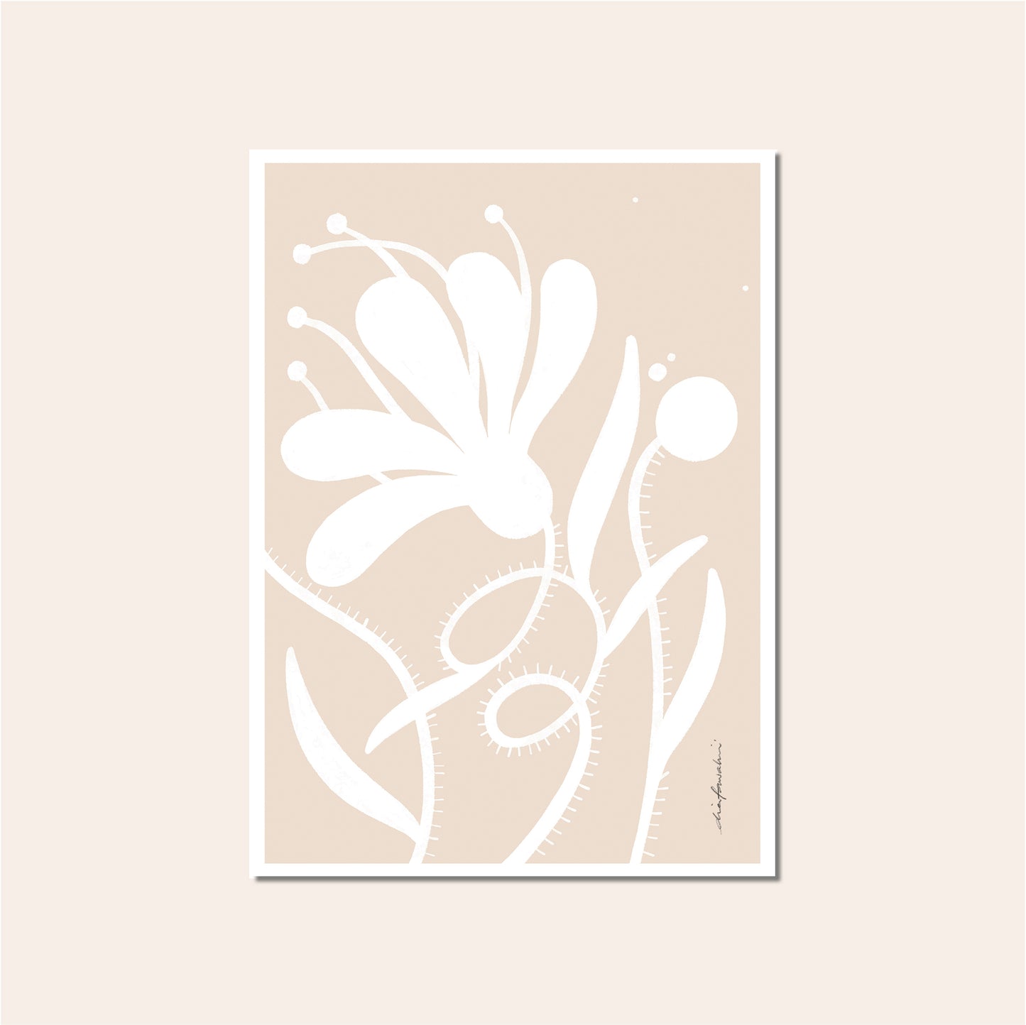 Soft Botanica - Peach