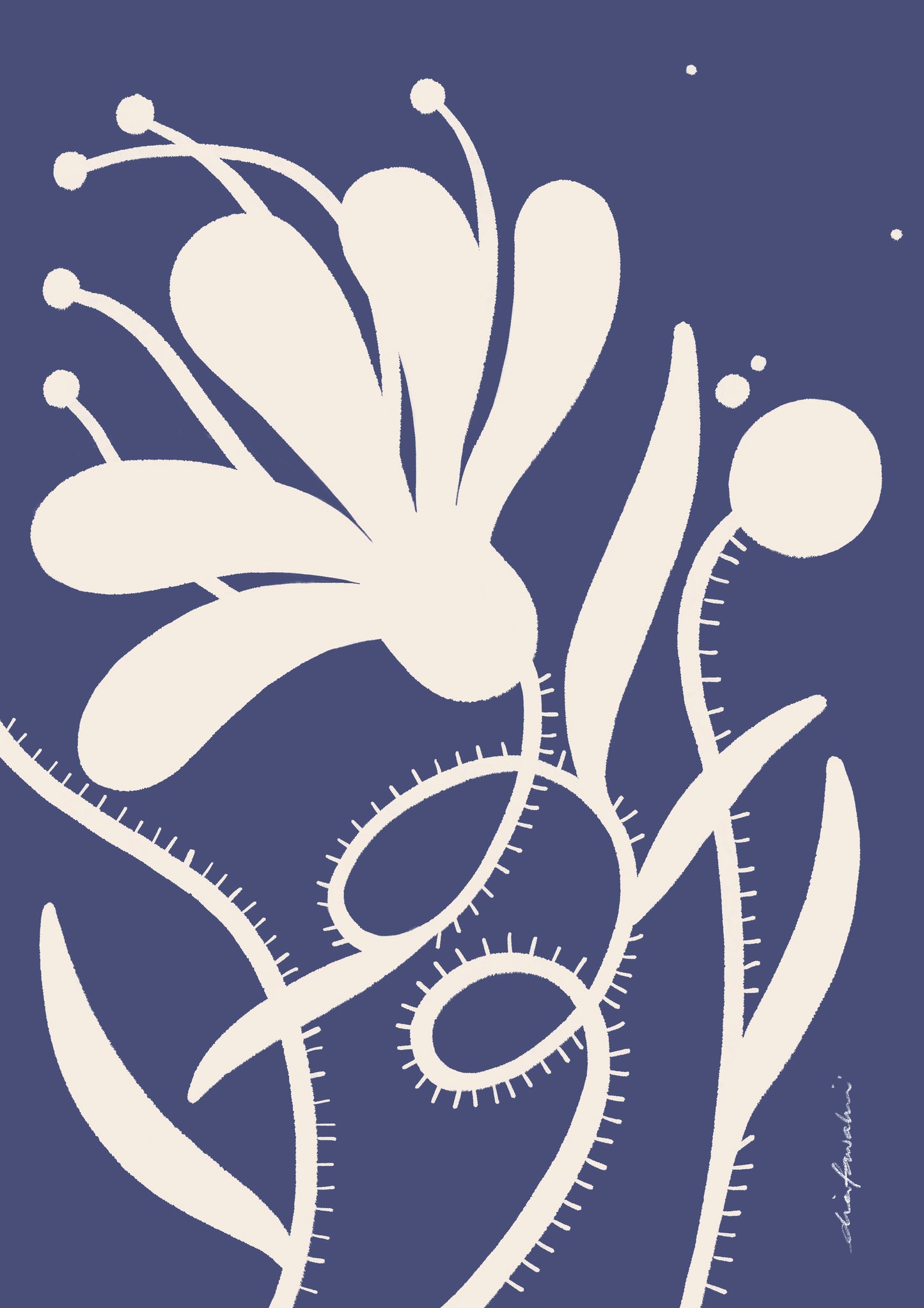 Soft Botanica