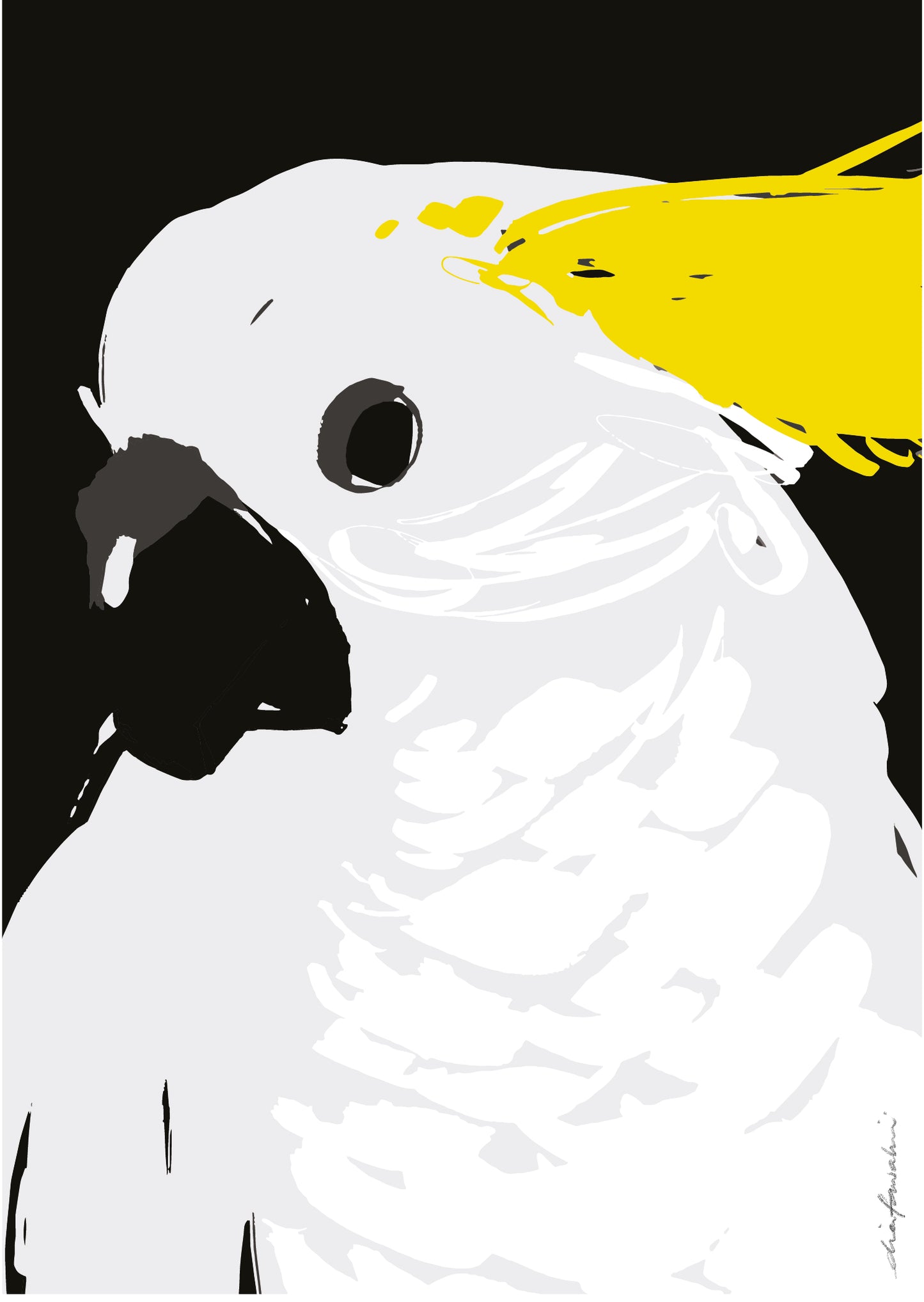 Sulfur-Crested-Cockatoo Postcard