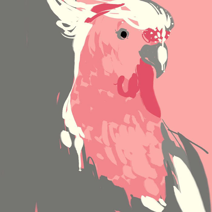 Rose-Breasted Cockatoo