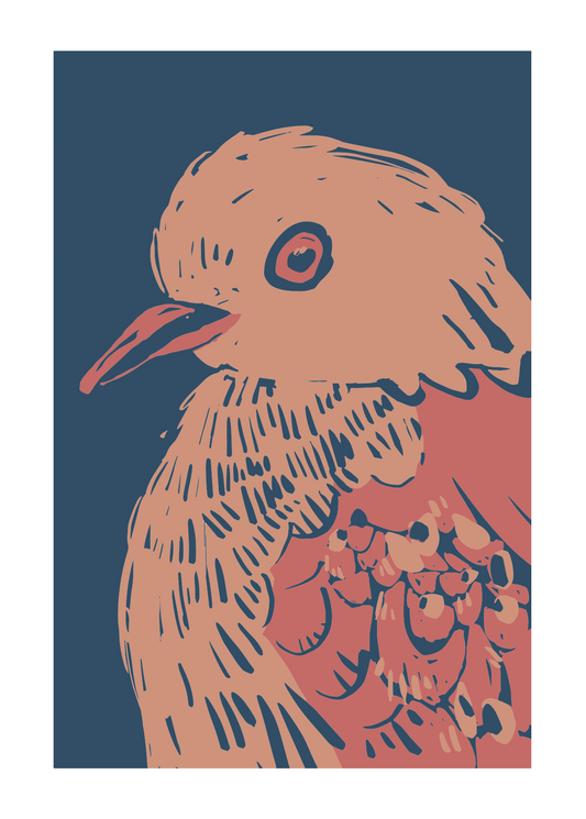 Dove Love// Salmon Blue 33x46 cm