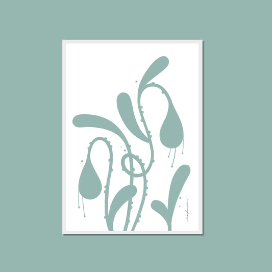Soft Botanica - Bulbs