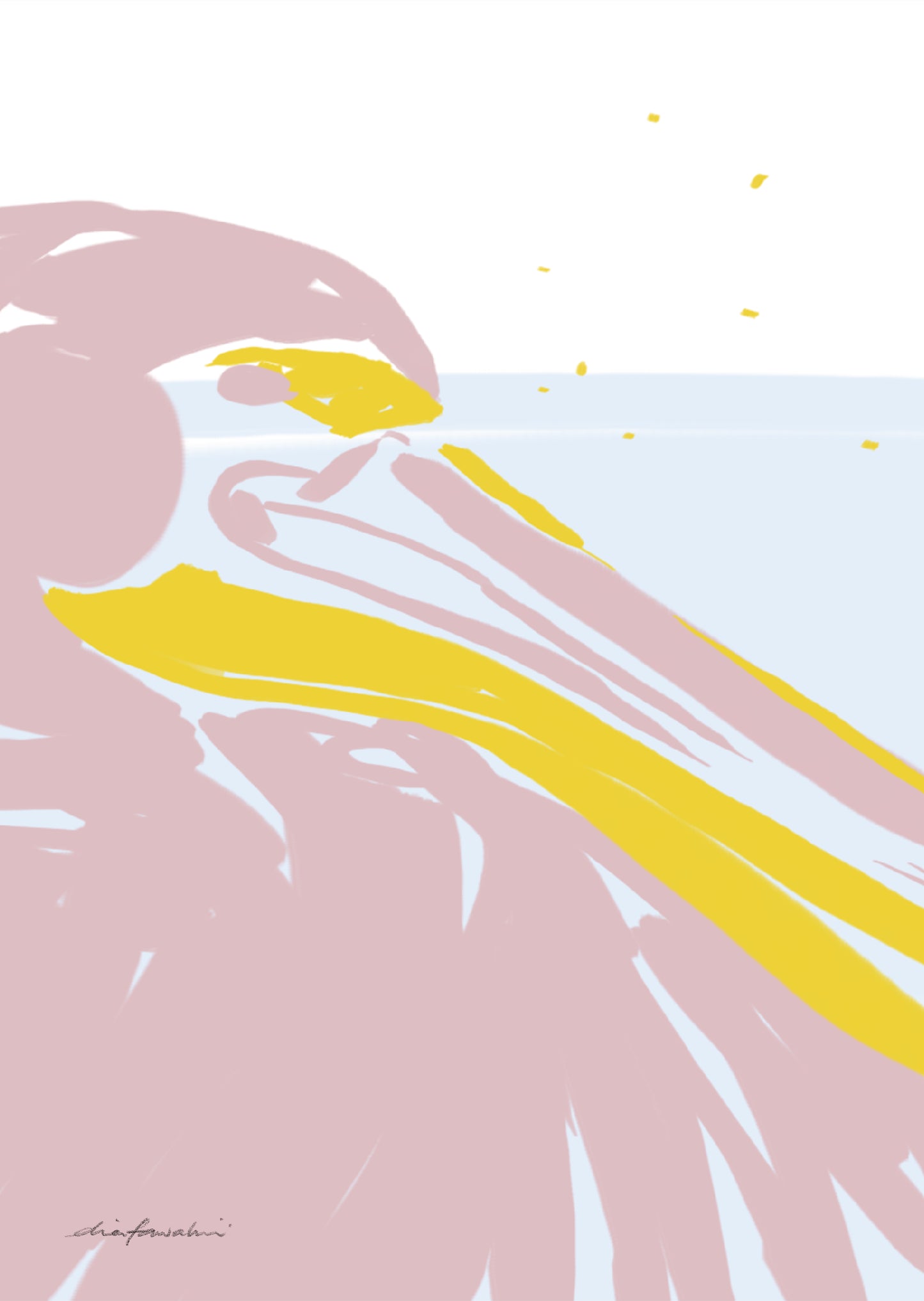 Pelicans Postcard